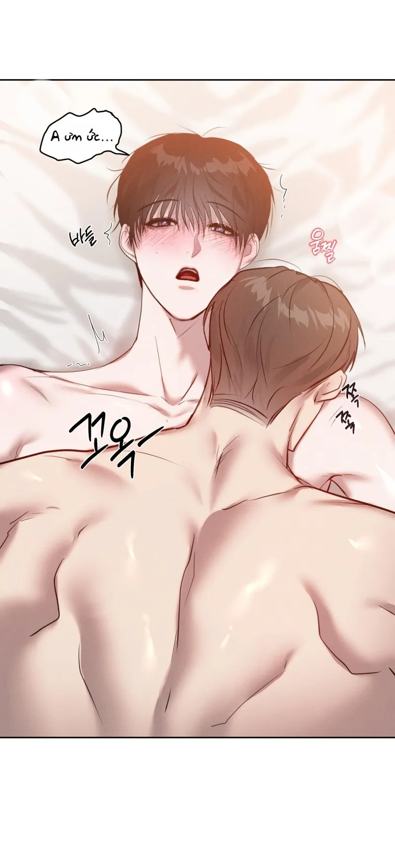 Nghịch Lý Của Sự Dịu Dàng - Chap 5 - H+ (End)