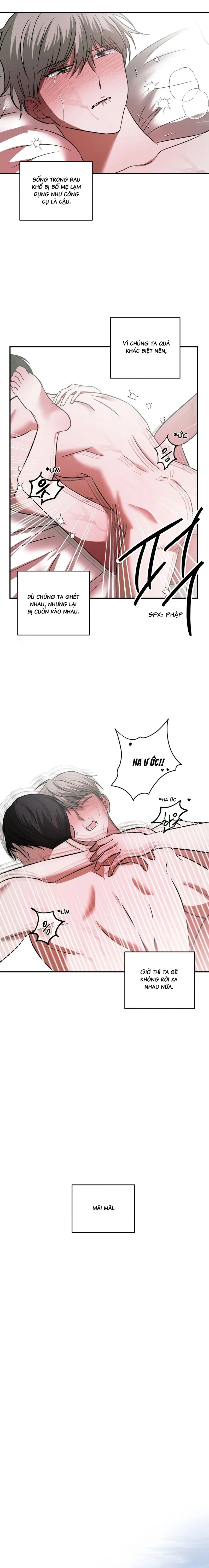 Chuỗi Mê Hoặc - Chap 8