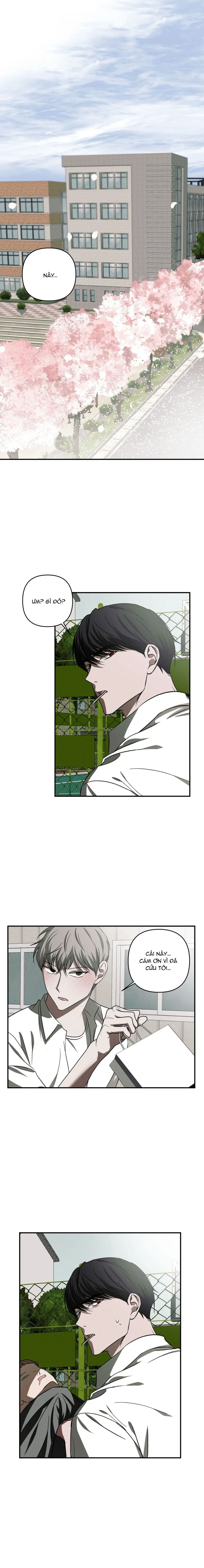 Chuỗi Mê Hoặc - Chap 8