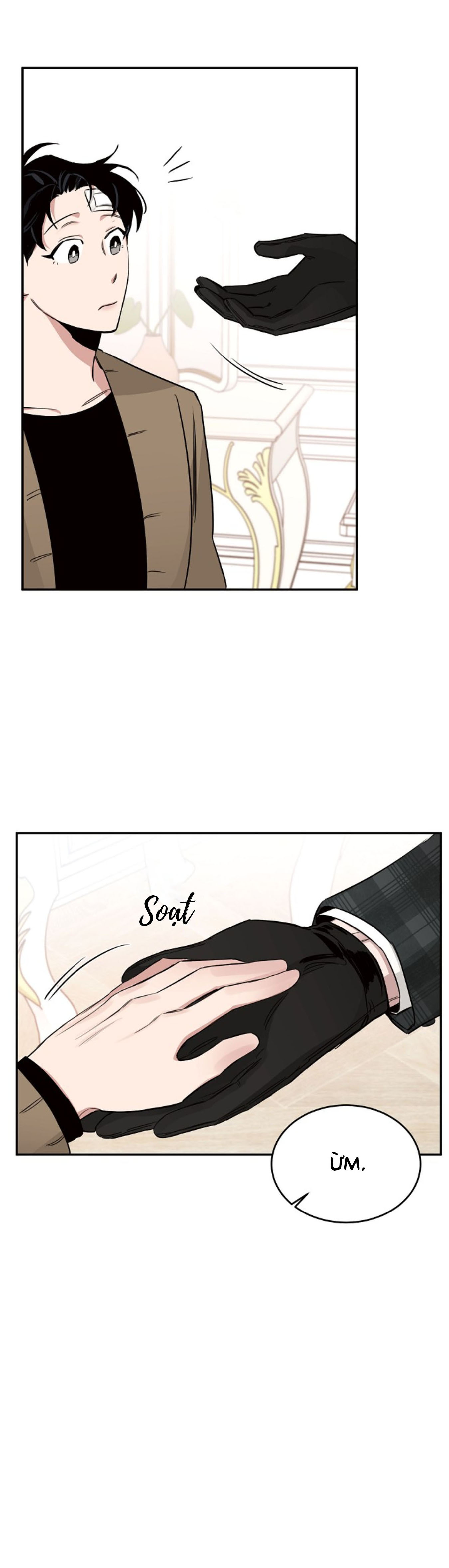 Hoa Hồng Và Rượu Vang - Chap 15