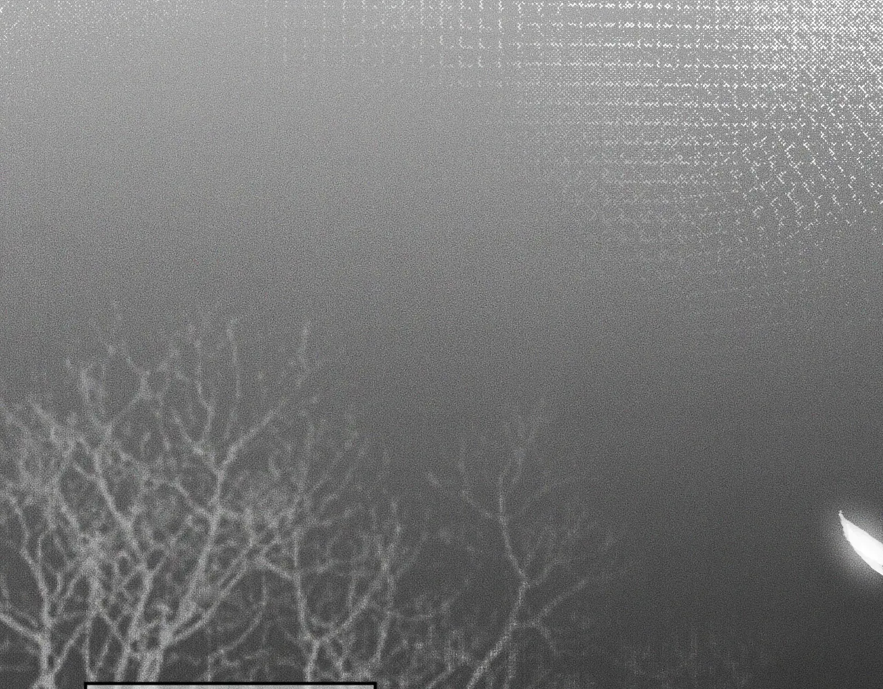 Husky Và Sư Tôn Mèo Trắng Của Hắn - Chap 5