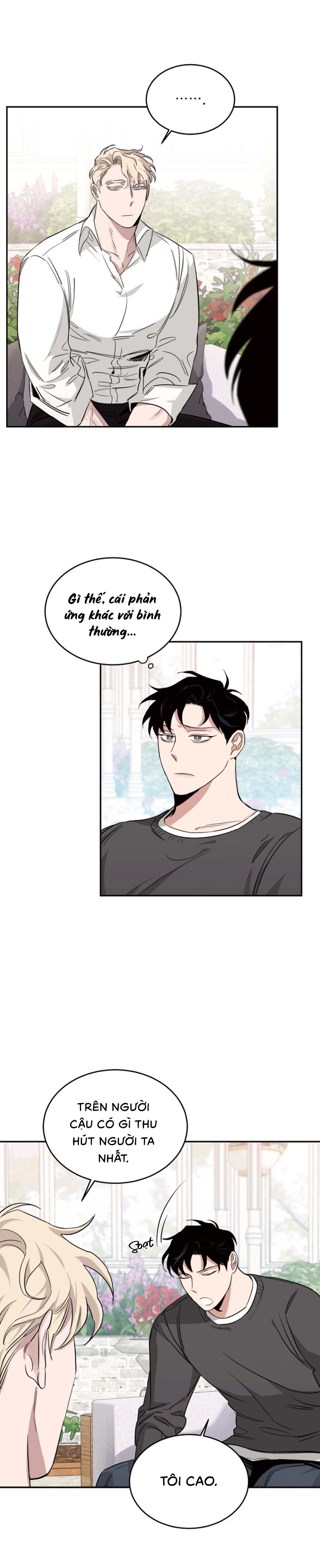 Hoa Hồng Và Rượu Vang - Chap 12