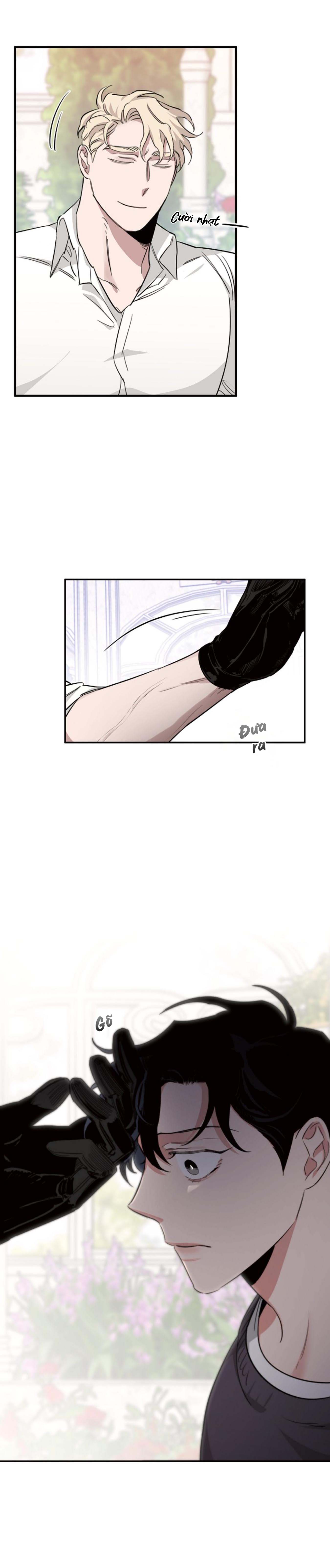 Hoa Hồng Và Rượu Vang - Chap 12