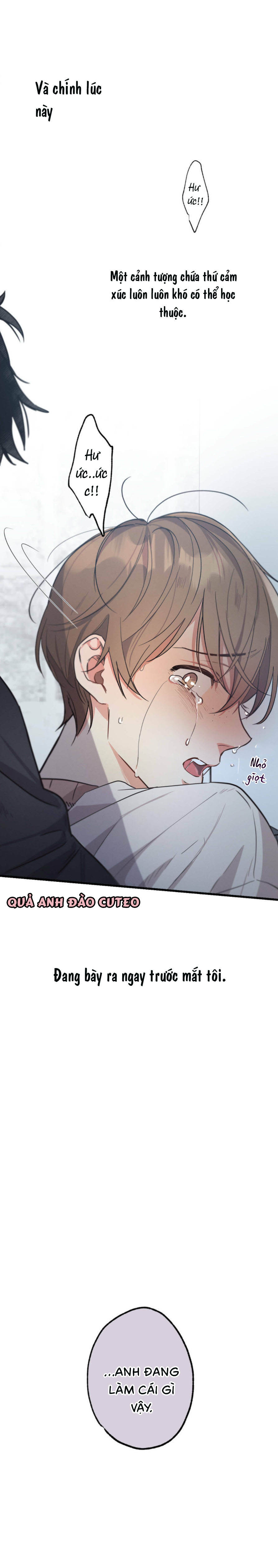 Chuyện Tình Không Lường Trước - Chap 10