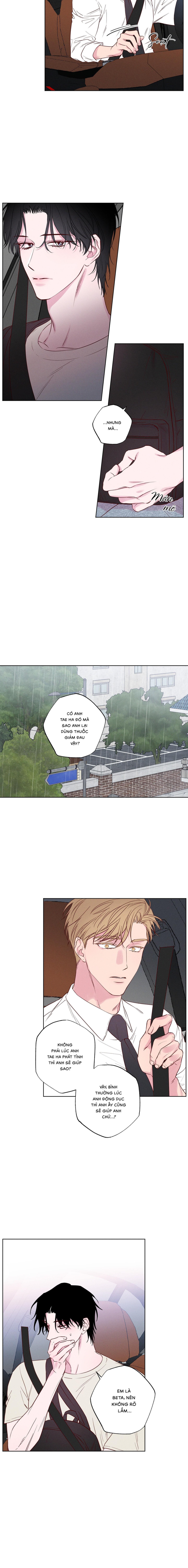 Bờ Biển Nơi Sóng Thuộc Về - Chap 2