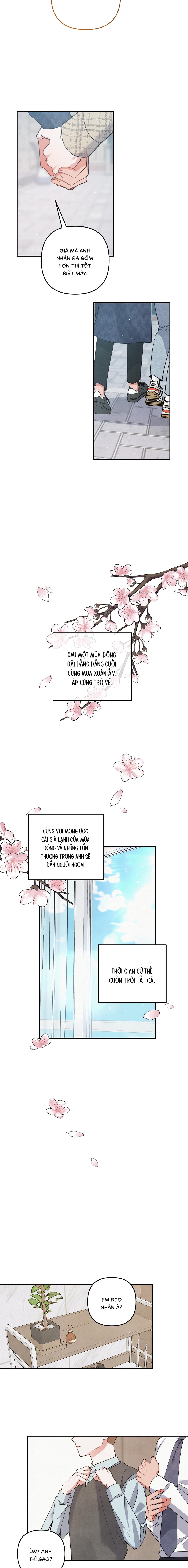 Mối Quan Hệ Bất Đắc Dĩ - Chap 73 (End)