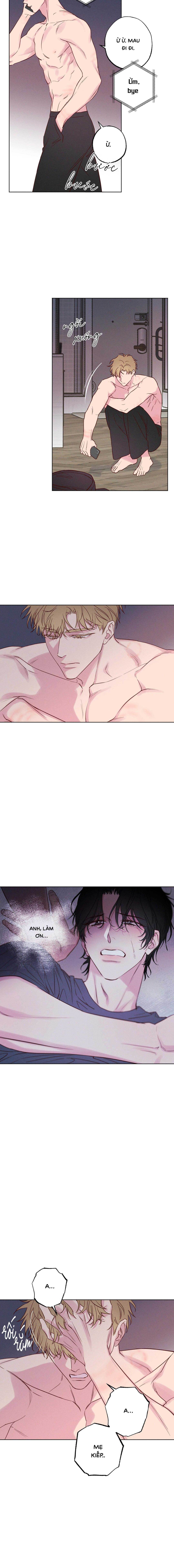 Bờ Biển Nơi Sóng Thuộc Về - Chap 8