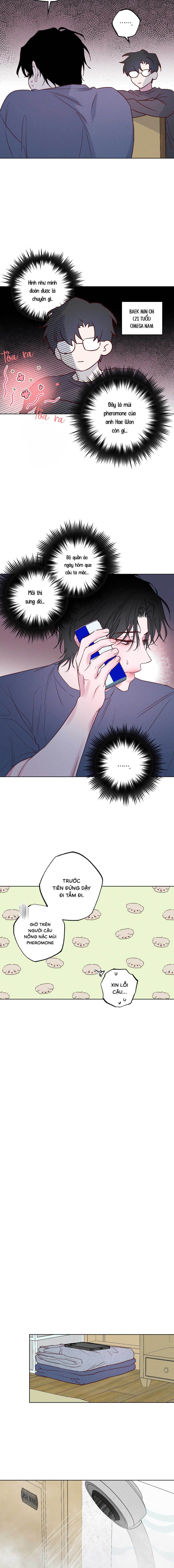 Bờ Biển Nơi Sóng Thuộc Về - Chap 8