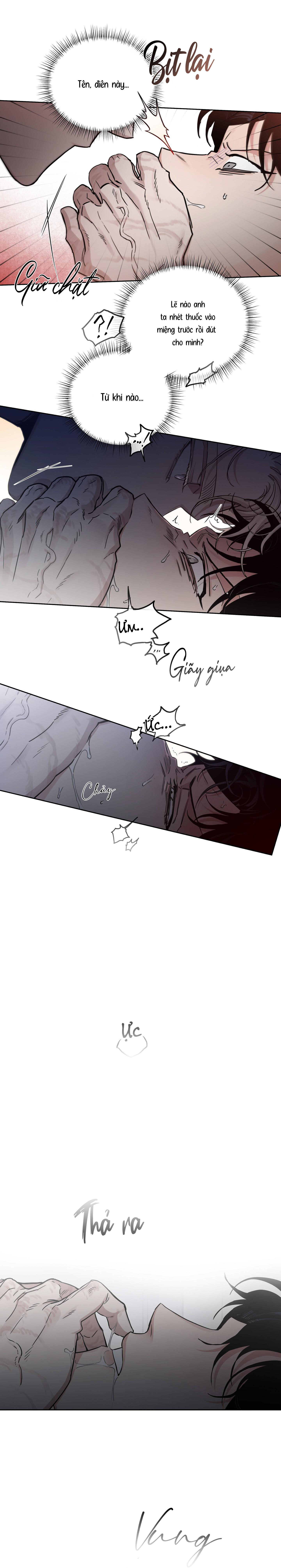 Hoa Hồng Và Rượu Vang - Chap NGOẠI TRUYỆN 28