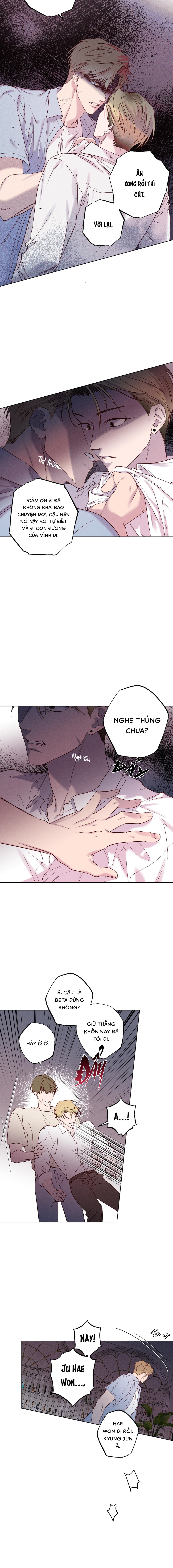 Bờ Biển Nơi Sóng Thuộc Về - Chap 16