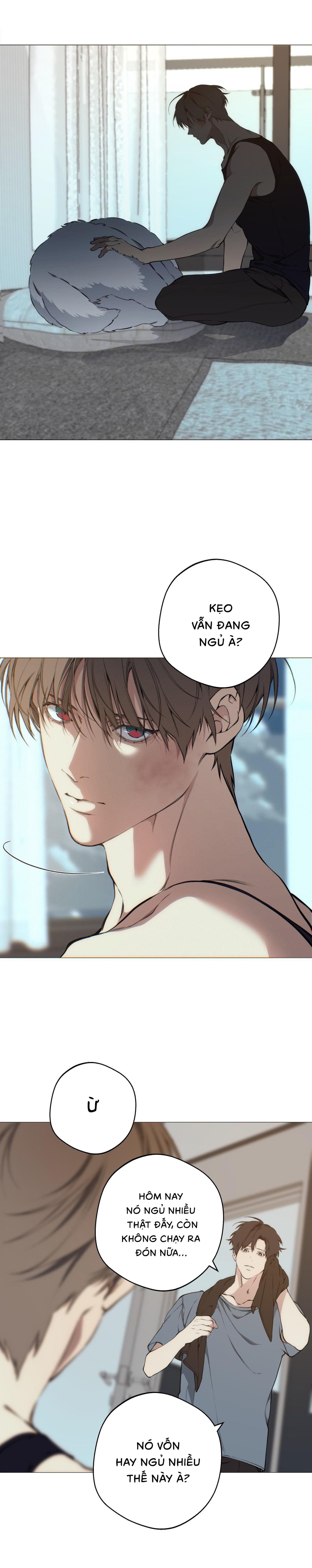 Lạc Giữa Những Tầng Mây - Chap 104