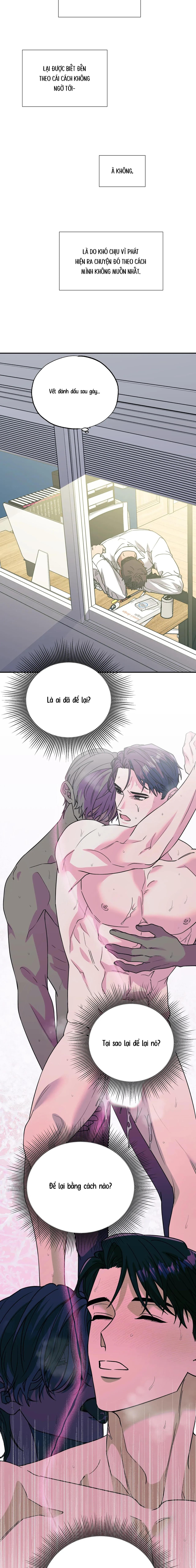 Nỗi Ám Ảnh Pheromone - Chap 81