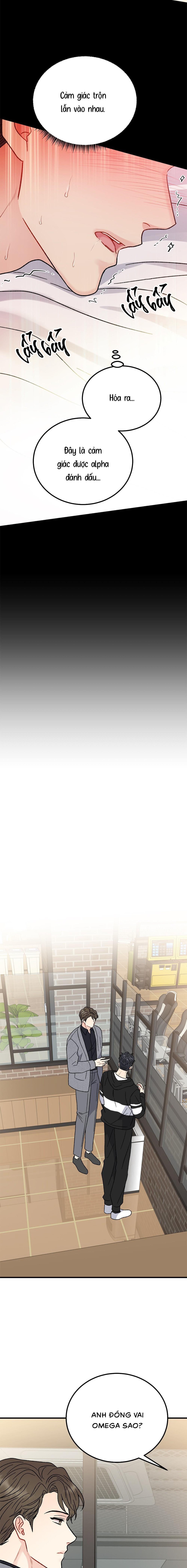 Cậu Không Phải Gu Của Tôi - Chap 40 (H)