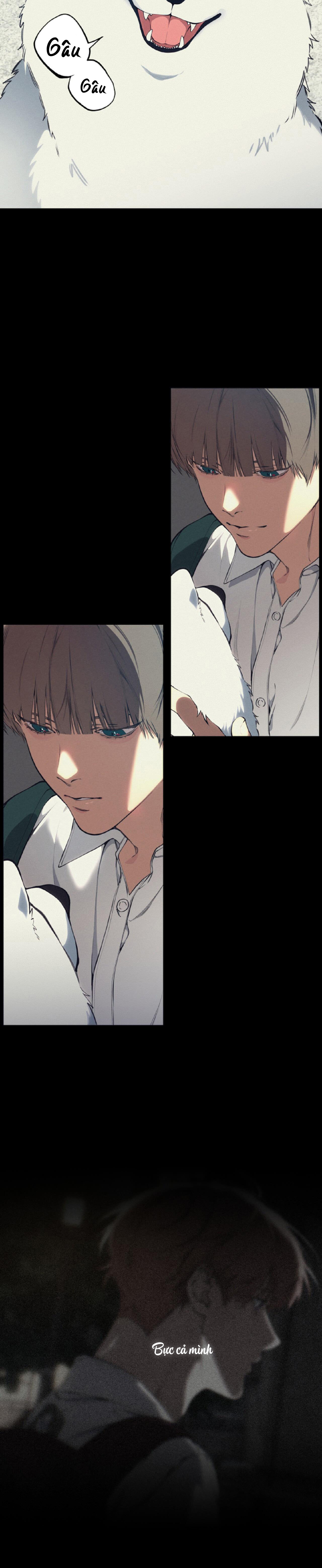 Lạc Giữa Những Tầng Mây - Chap 110