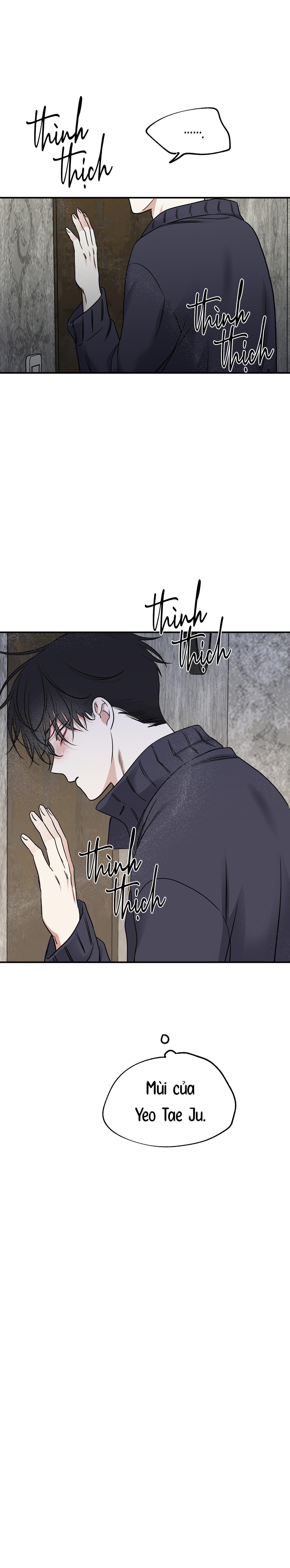 Đêm Bên Bờ Biển - Chap 91