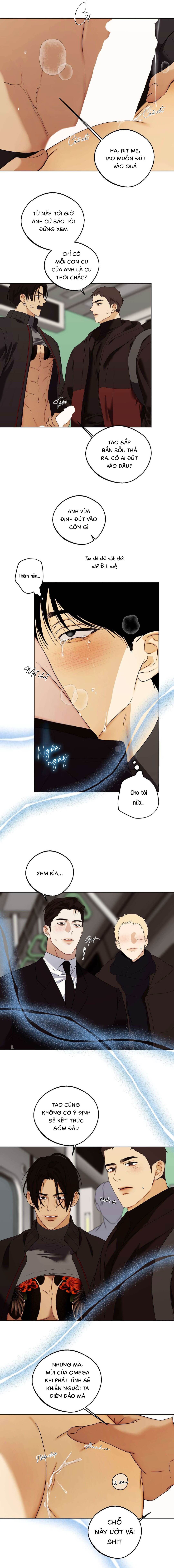 Nô Lệ Omega Sụp Đổ - Chap 03 (H)