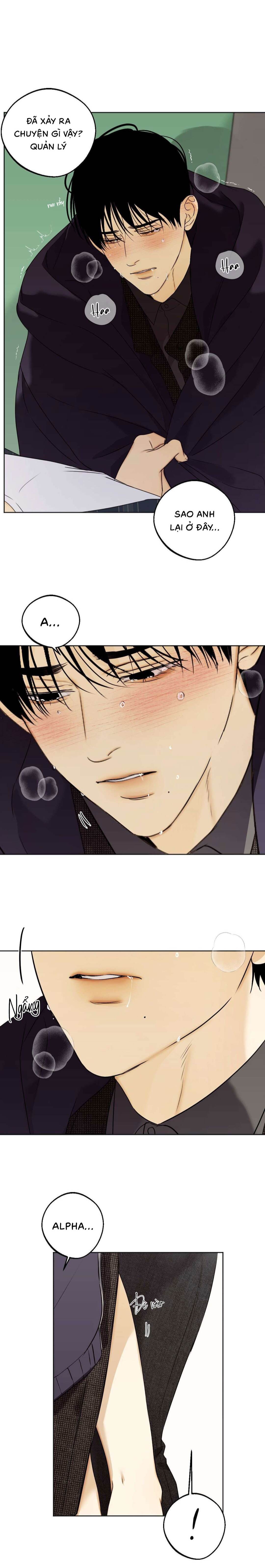 Nô Lệ Omega Sụp Đổ - Chap 03 (H)