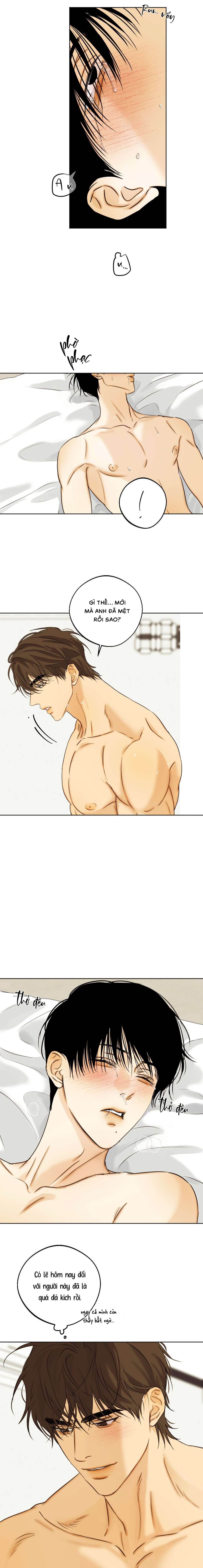 Nô Lệ Omega Sụp Đổ - Chap 05 (H)