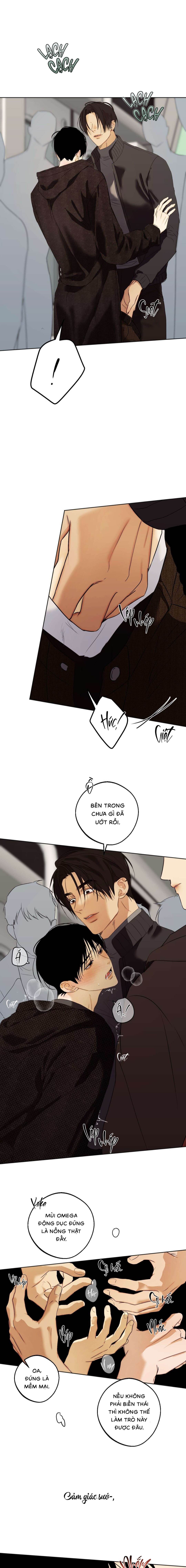 Nô Lệ Omega Sụp Đổ - Chap 02 (H)