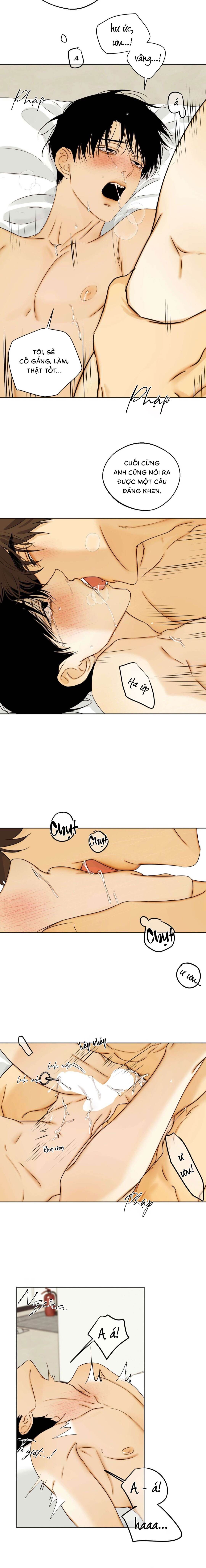 Nô Lệ Omega Sụp Đổ - Chap 05 (H)