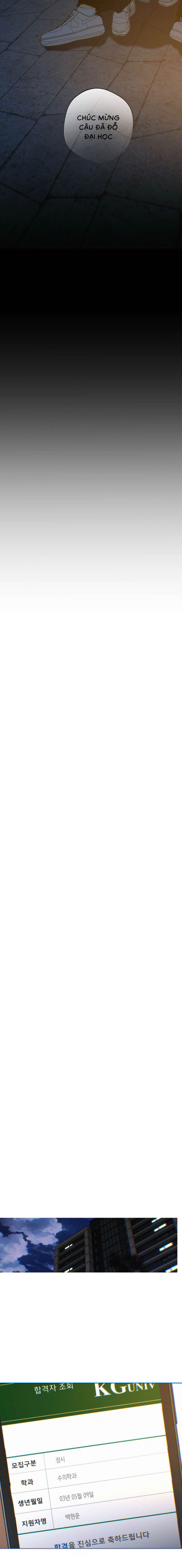 Lạc Giữa Những Tầng Mây - Chap 131 (Đặc biệt)