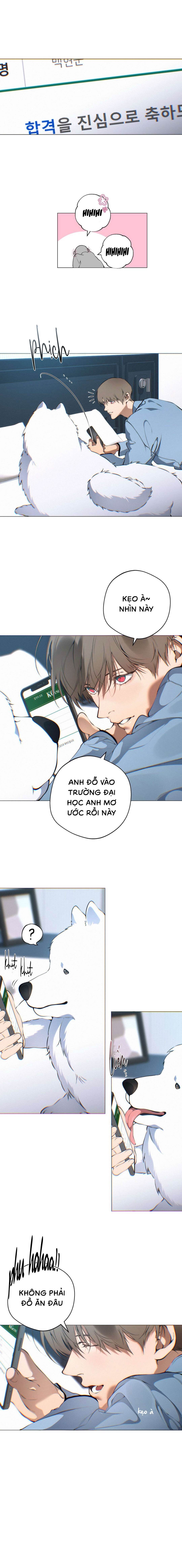 Lạc Giữa Những Tầng Mây - Chap 131 (Đặc biệt)