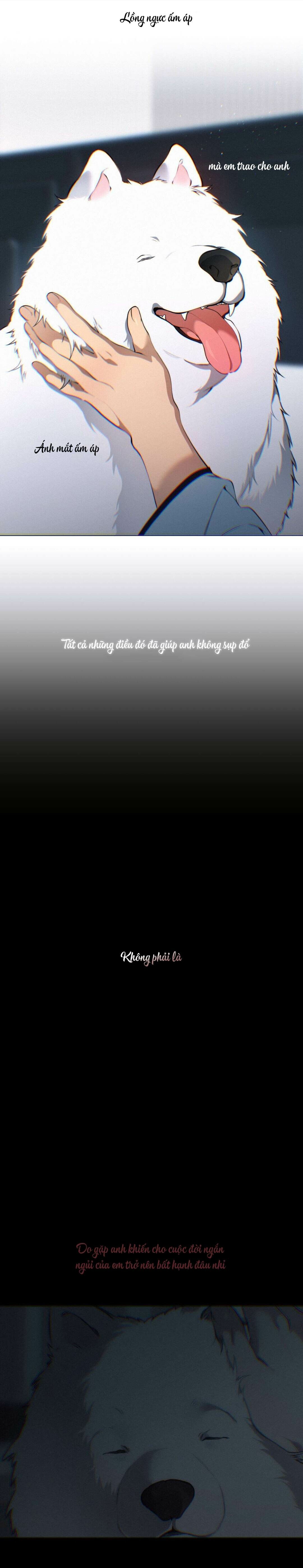 Lạc Giữa Những Tầng Mây - Chap 131 (Đặc biệt)