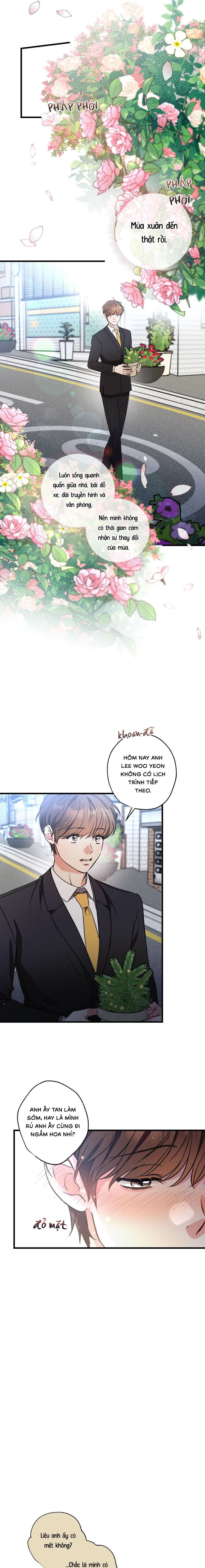 Chuyện Tình Không Lường Trước - Chap 100