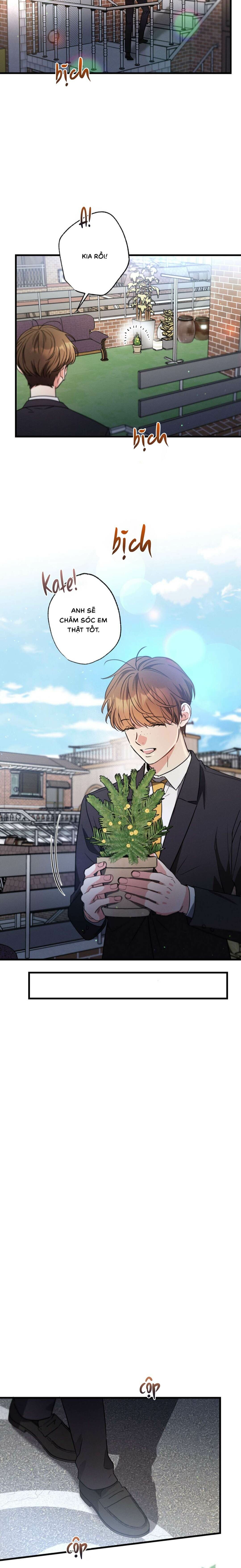 Chuyện Tình Không Lường Trước - Chap 100