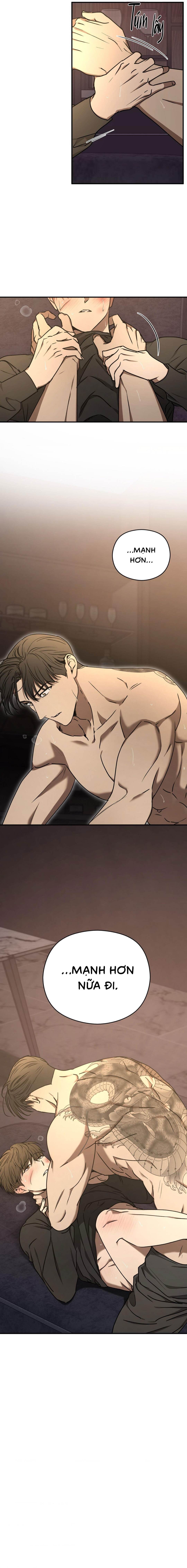 Độc Xà - Chap 16 (H)