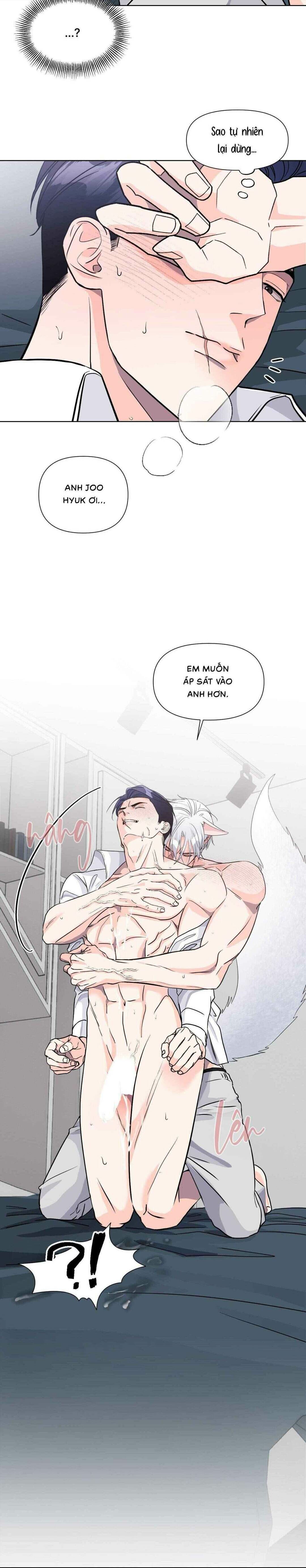 Chàng Sói Đáng Yêu - Chap 06 (H)