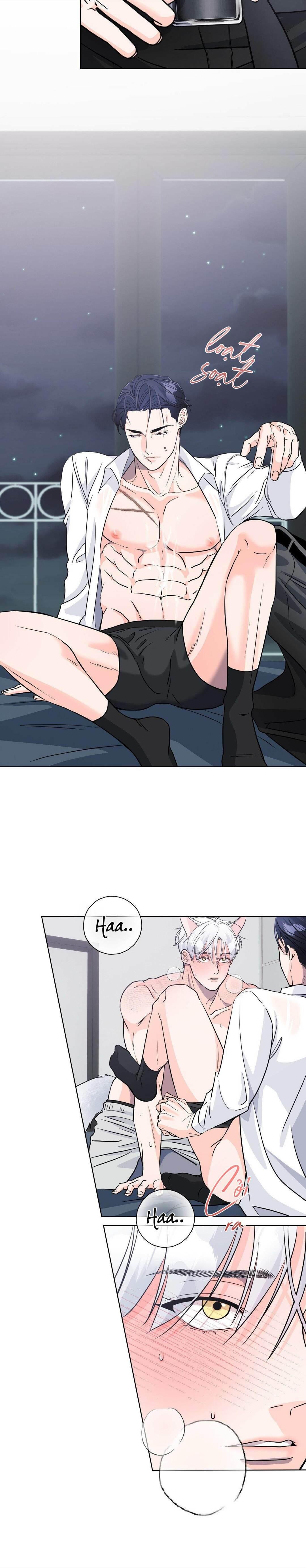 Chàng Sói Đáng Yêu - Chap 05 (H)