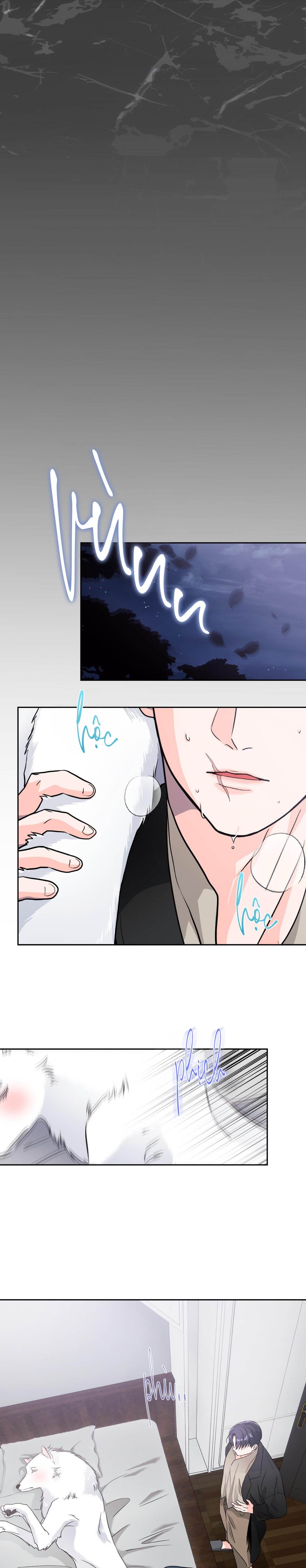 Chàng Sói Đáng Yêu - Chap 08 (H)