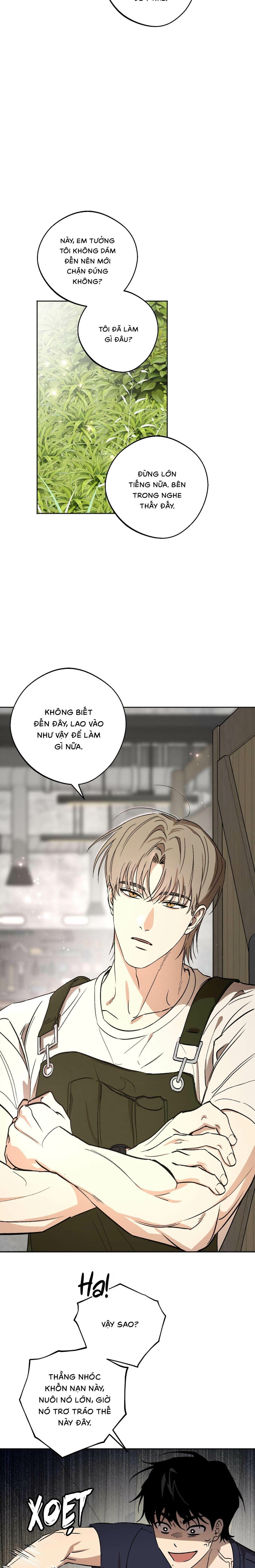 Ước Nguyện Của Ki Won - Chap 02