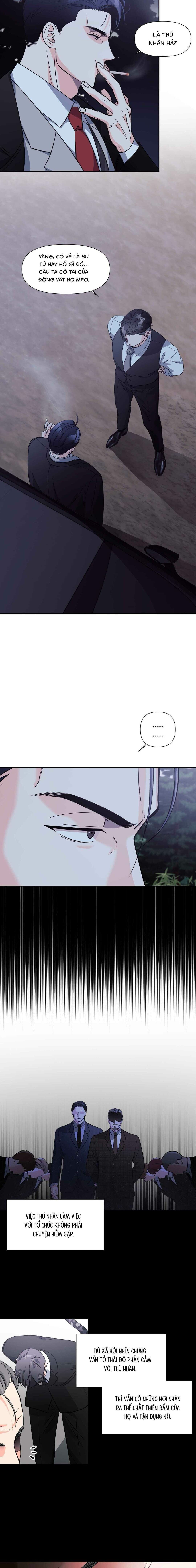 Chàng Sói Đáng Yêu - Chap 11