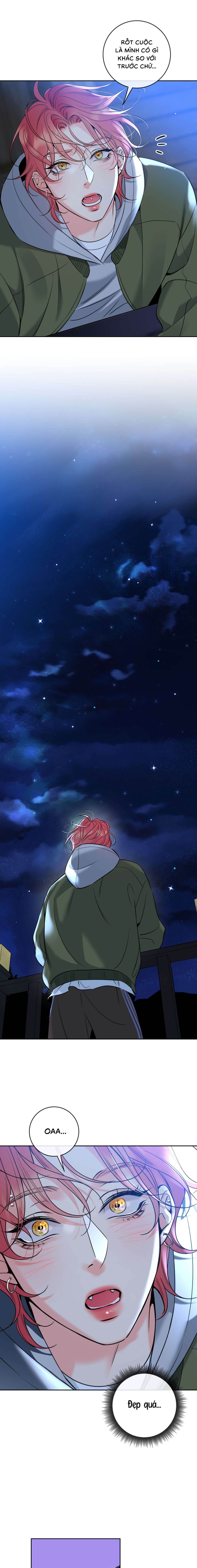 Honey Trouble - Chap 41 (H)