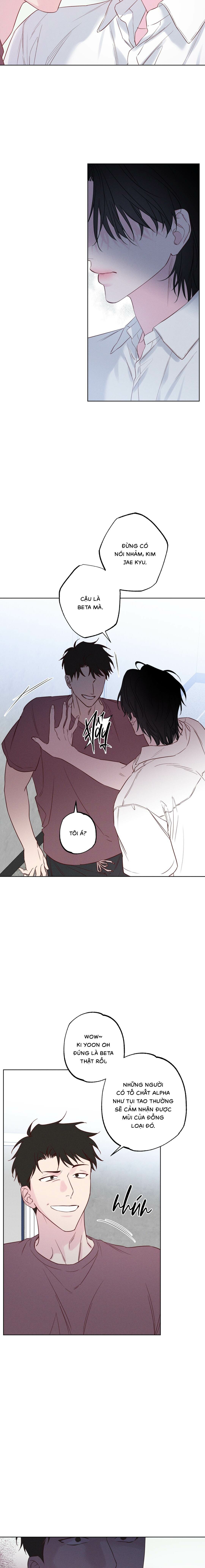 Bờ Biển Nơi Sóng Thuộc Về - Chap 37