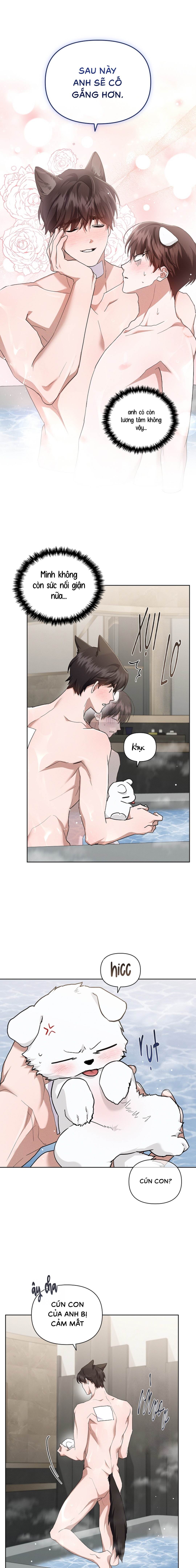 Đừng Chạm Vào Cún Con - Chap 44 (H) (End)