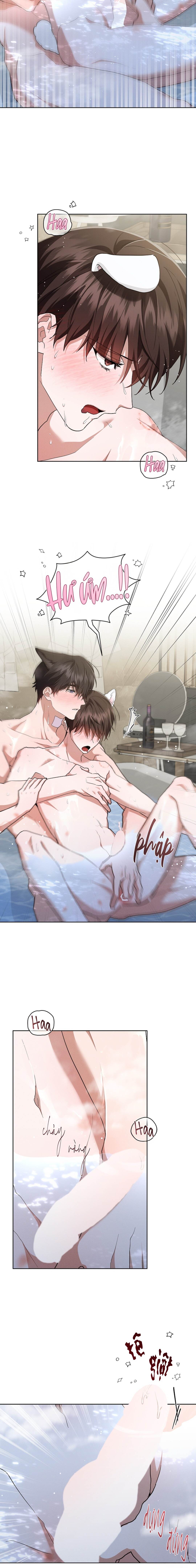 Đừng Chạm Vào Cún Con - Chap 44 (H) (End)