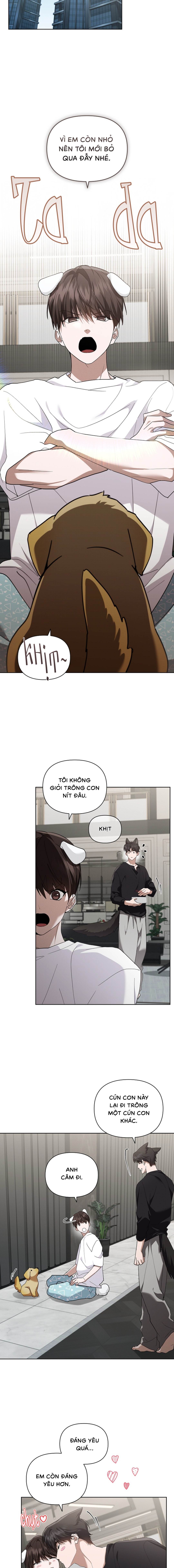 Đừng Chạm Vào Cún Con - Chap NGOẠI TRUYỆN 2