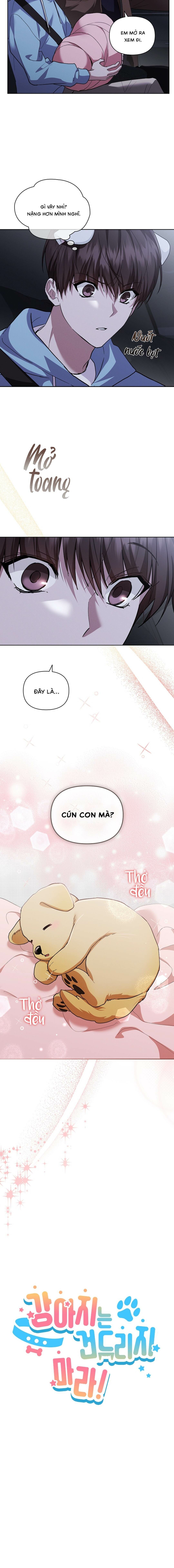 Đừng Chạm Vào Cún Con - Chap NGOẠI TRUYỆN 2