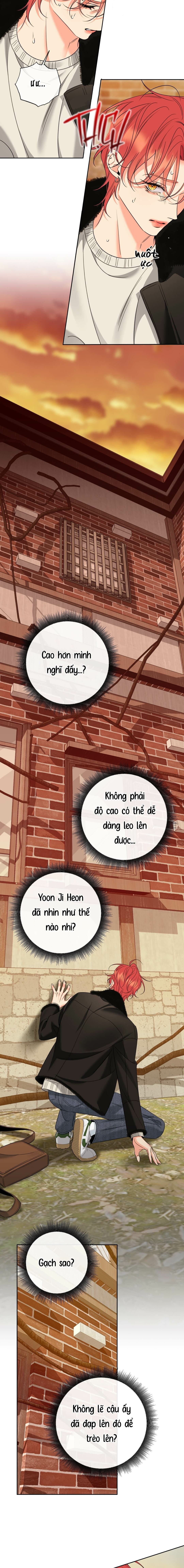 Honey Trouble - Chap 50 (End SS2)