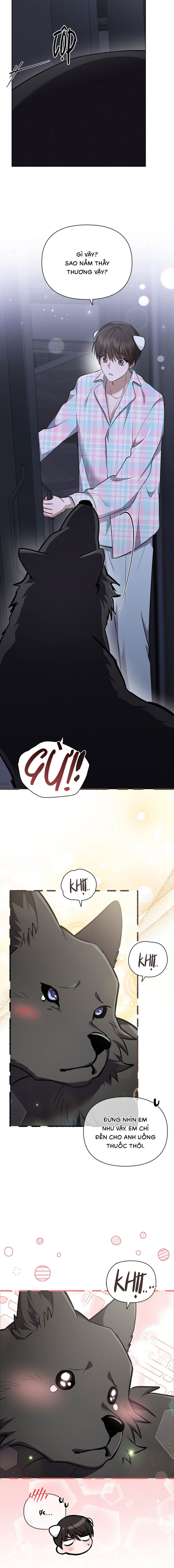 Đừng Chạm Vào Cún Con - Chap NGOẠI TRUYỆN 6