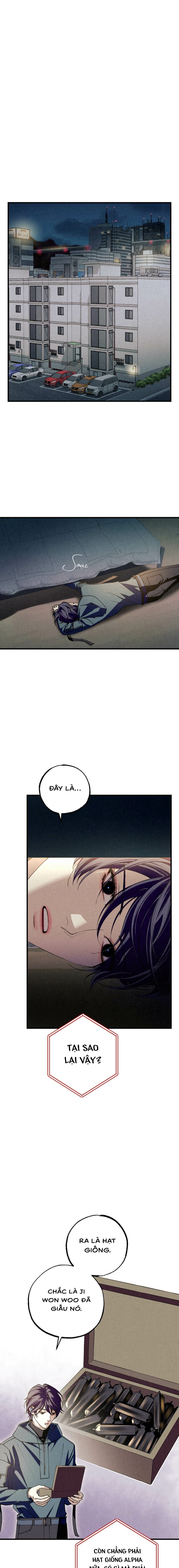 Hơi Thở Rực Rỡ - Chap 05