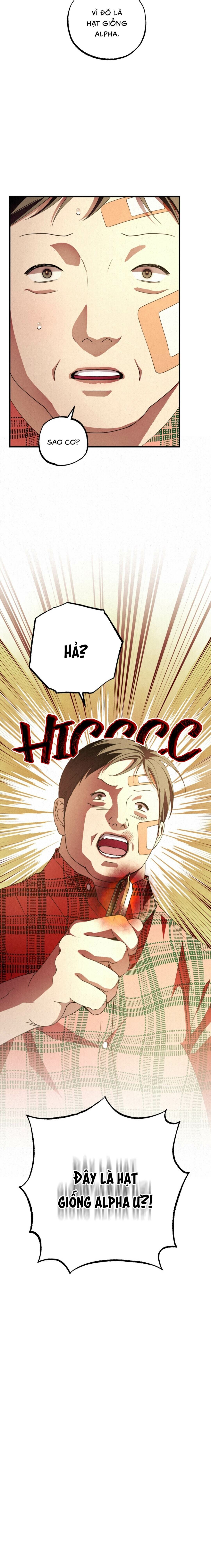 Hơi Thở Rực Rỡ - Chap 06