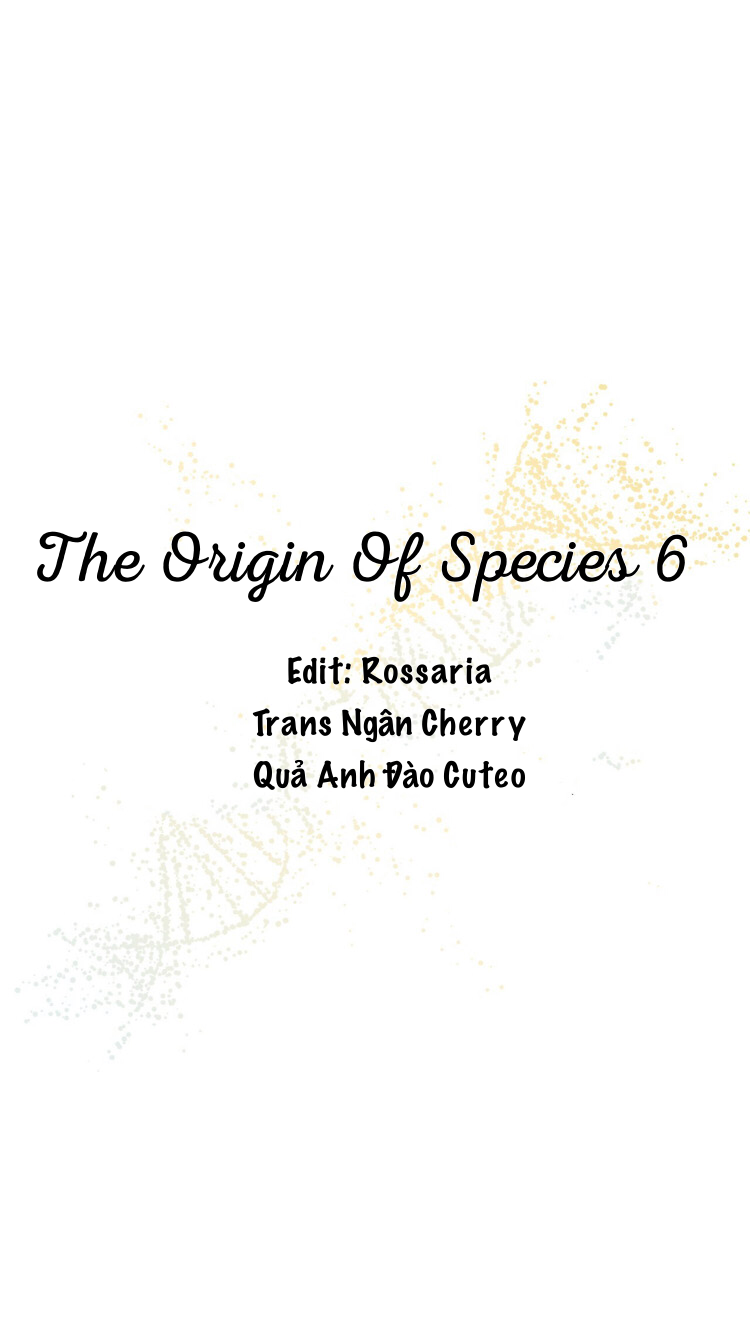 Khởi Đầu Nô Lệ - Chap 6