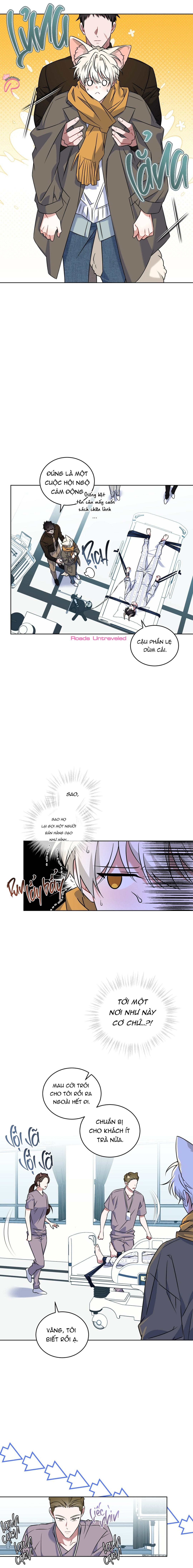 Thức Uống Tình Yêu Của Flynn - Chap 16