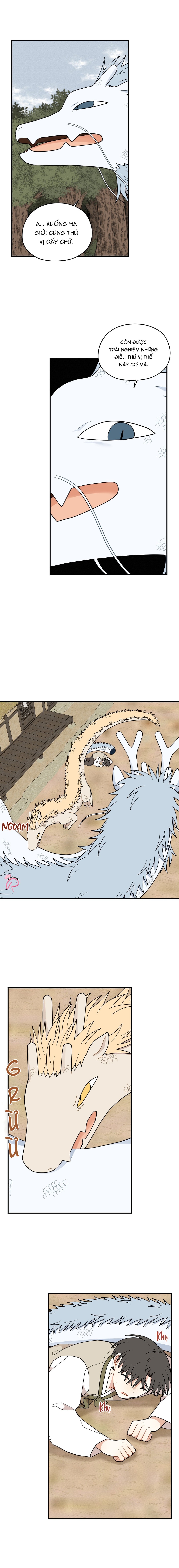 Dưới Tán Hoa Liên Kiều - Chap 72