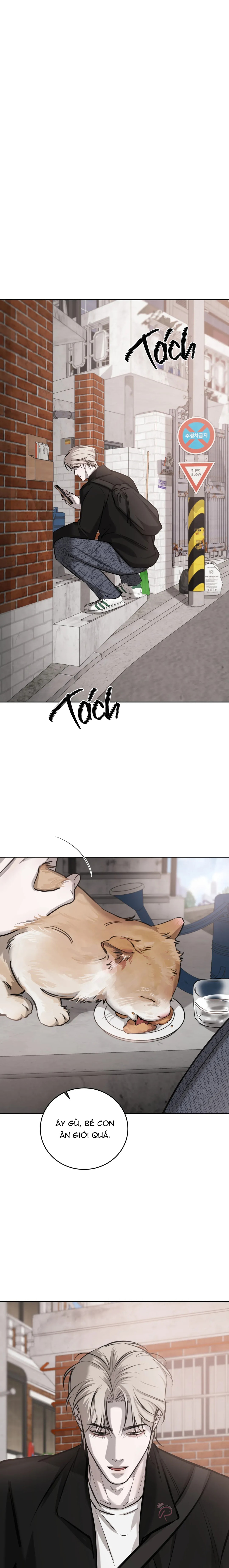 Ngẫu Nhiên Trở Thành Vận Mệnh - Chap 71