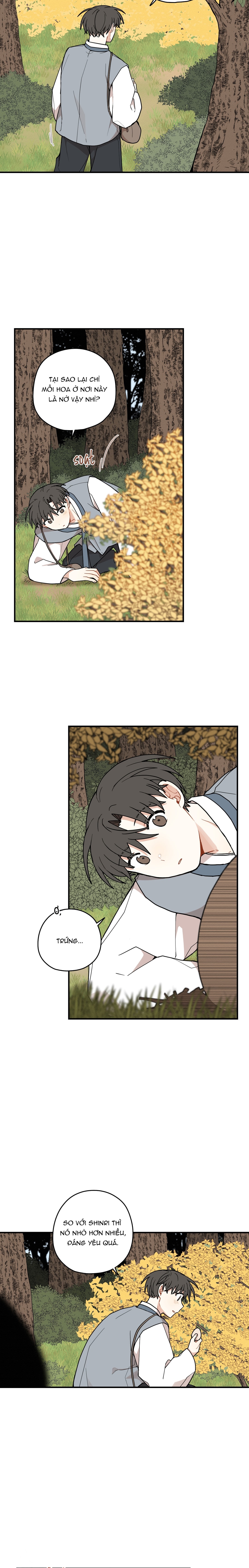 Dưới Tán Hoa Liên Kiều - Chap 78 END